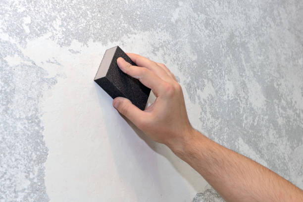 Best Forensic Mold Investigation  in Eureka, MT