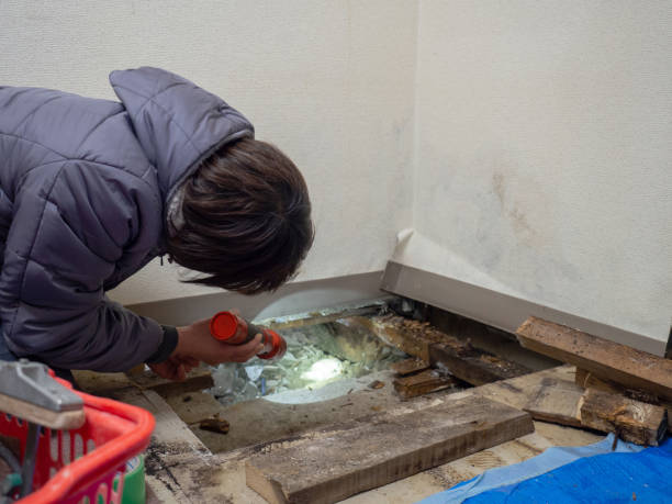 Best Post-Construction Mold Inspection  in Eureka, MT