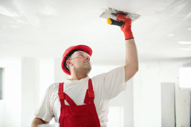 Best Black Mold Removal  in Eureka, MT
