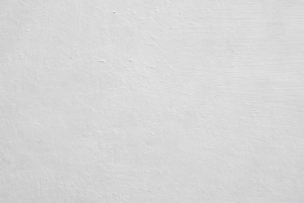  Eureka, MT Mold Removal Pros